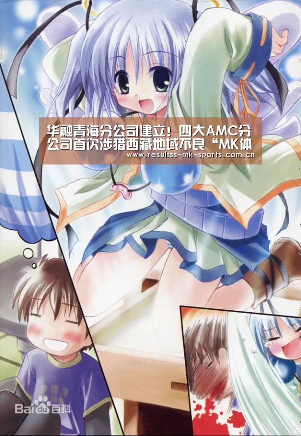 华融青海分公司建立!四大AMC分公司首次涉猎西藏地域不良“MK体育 ”(图2) 首页入口